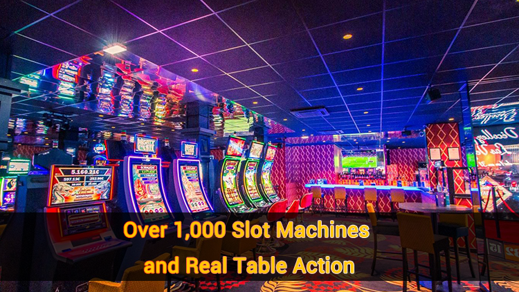 Over 1,000 Slot Machines and Real Table Action
